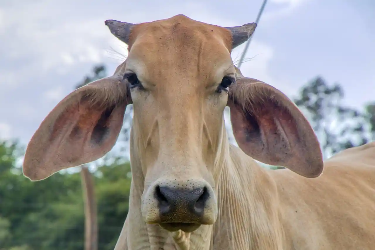 Como e Onde Investir Dinheiro - Optimizare Sites - Criação e Otimização de Sites (1)