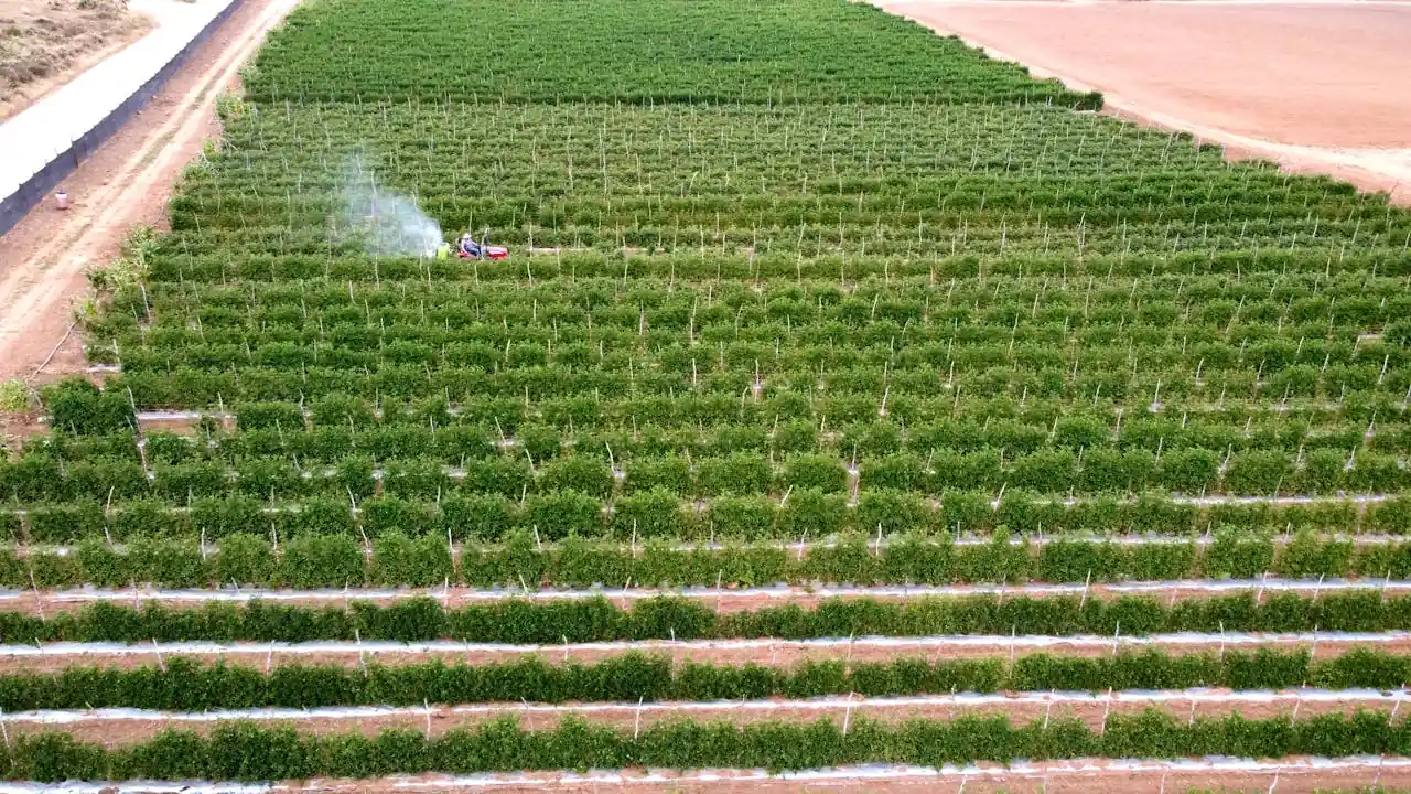 Optimizare Sites - Criação e Otimização de Sites - Smart Farming no Brasil e Como Drones e a Inteligência Artificial Estão Revolucionando o Campo (6)