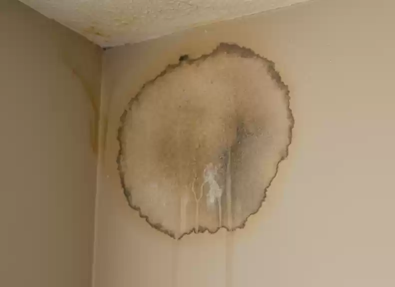 Close up de Uma Mancha de Umidade em Uma Parede Perto do Teto Indicando Uma Possivel Infiltracao